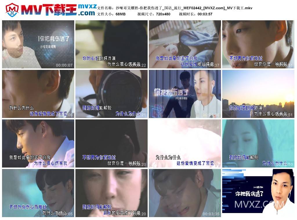 沙哑哥吴耀胜-你把我伤透了_国语_流行_MEF02442